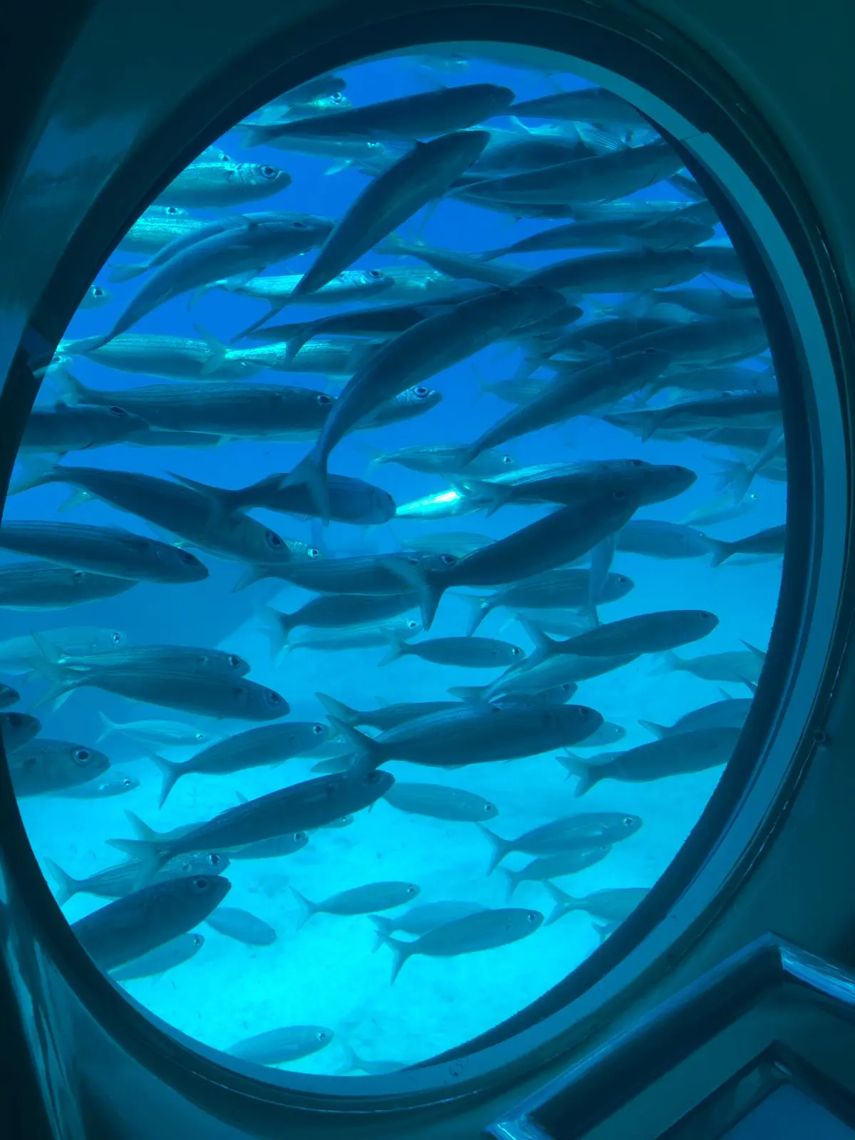 SUBMARINE EXCURSIONS
