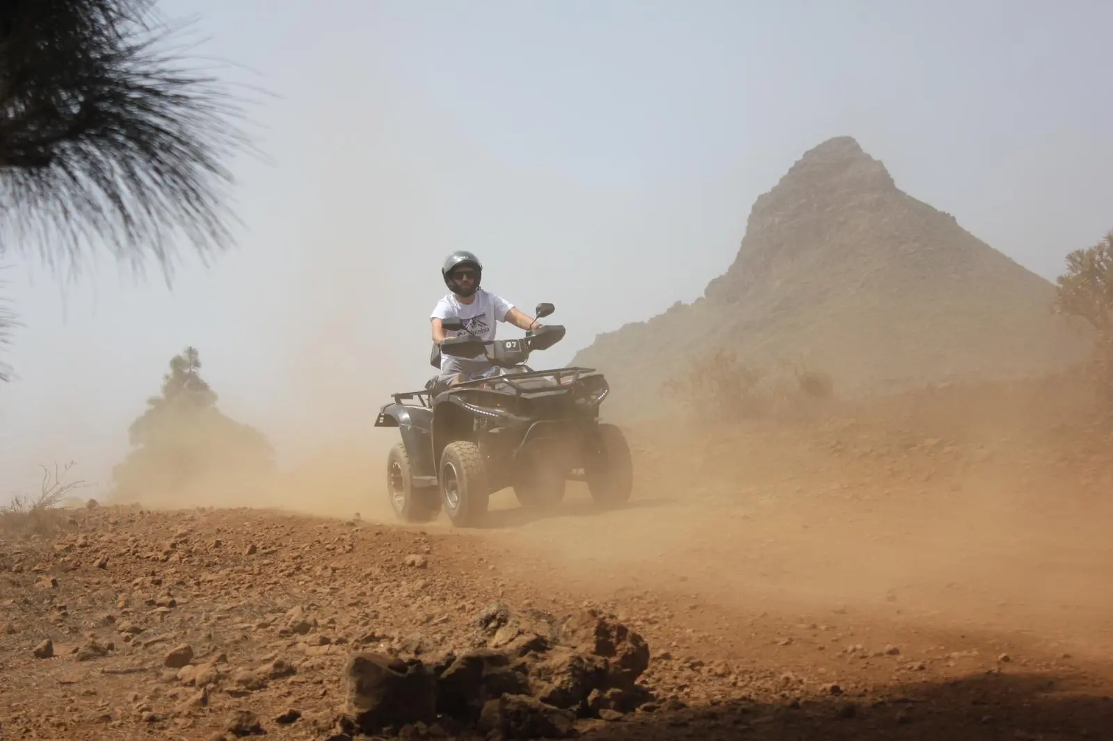 QUAD BIKES AND BUGGIES