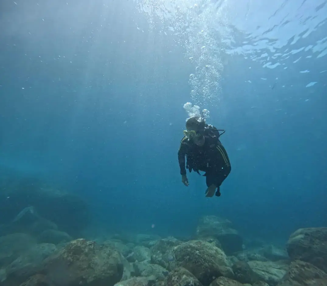 Diving