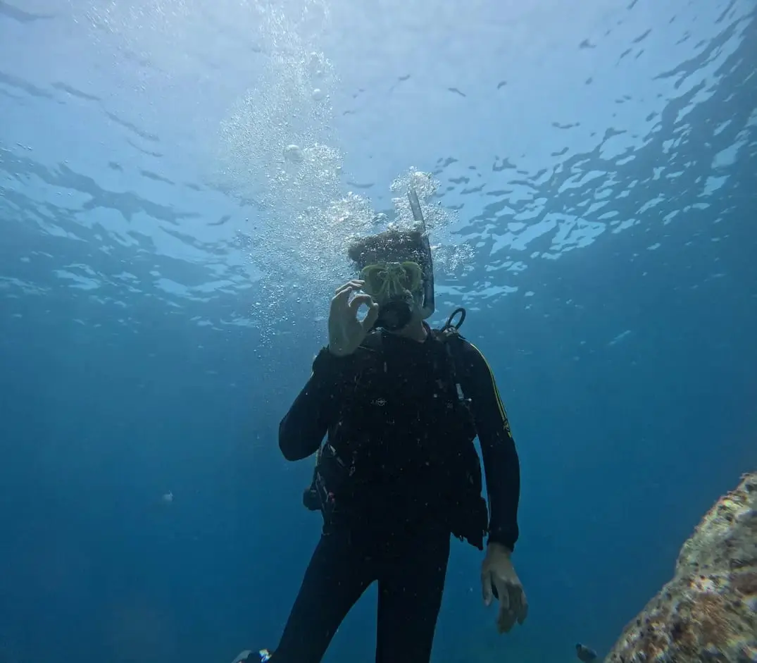 Diving