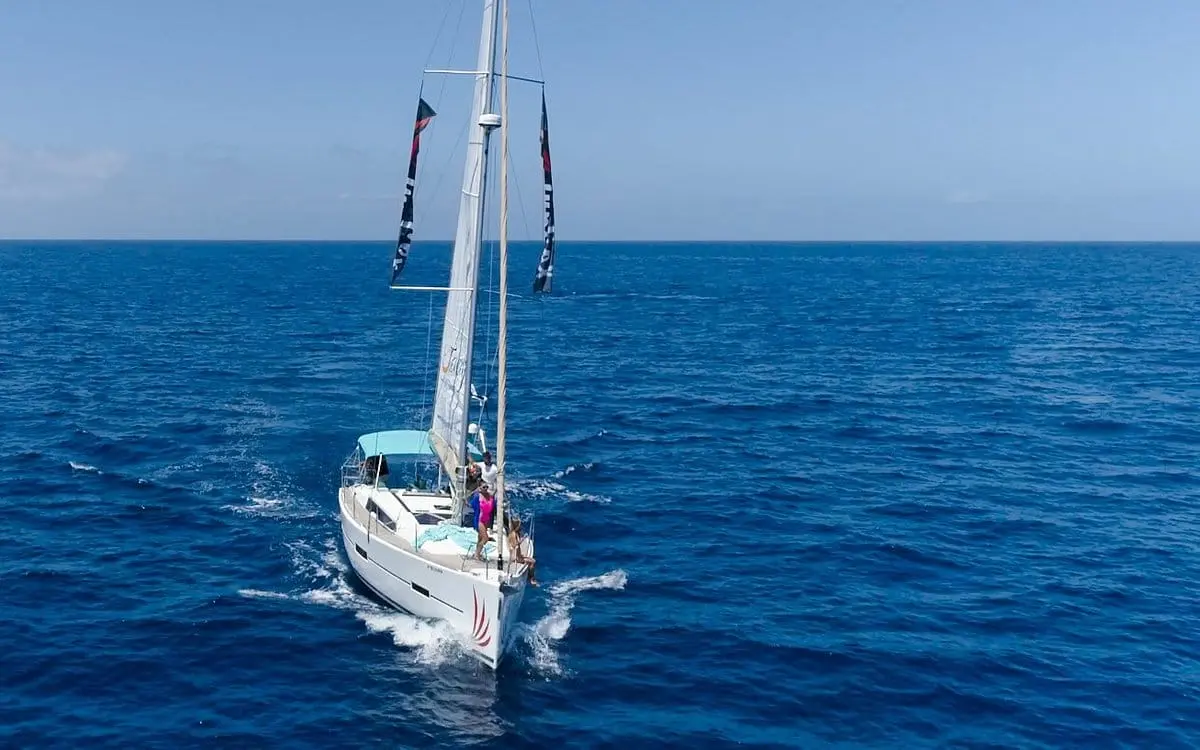 BOAT: Whales & Dolphings watching