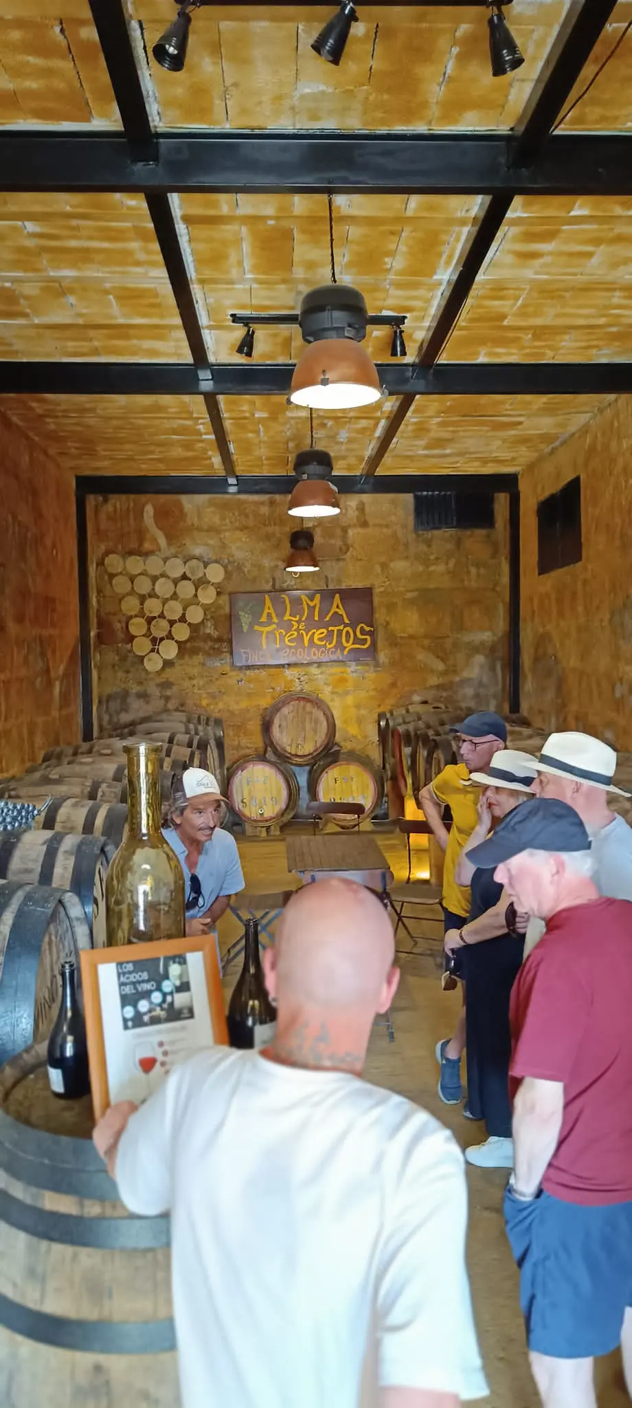 wine tasting