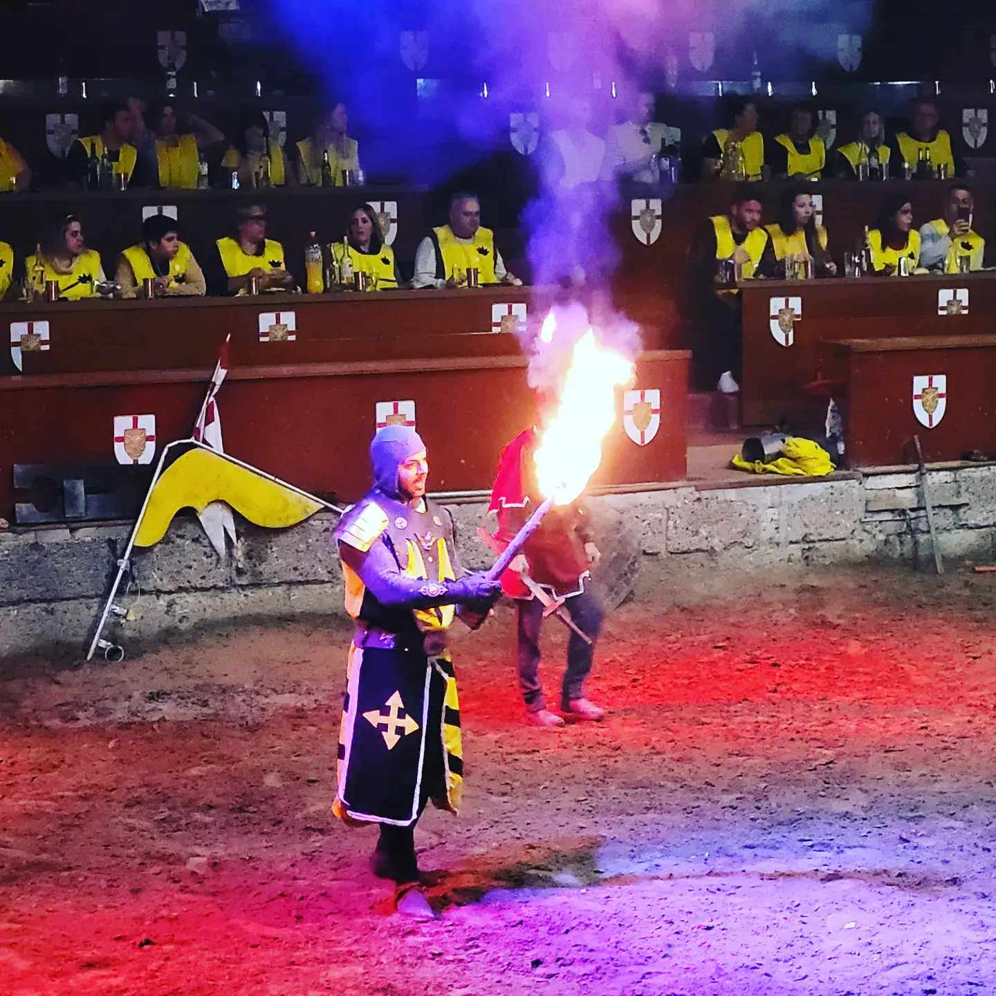 DINNER SHOWS