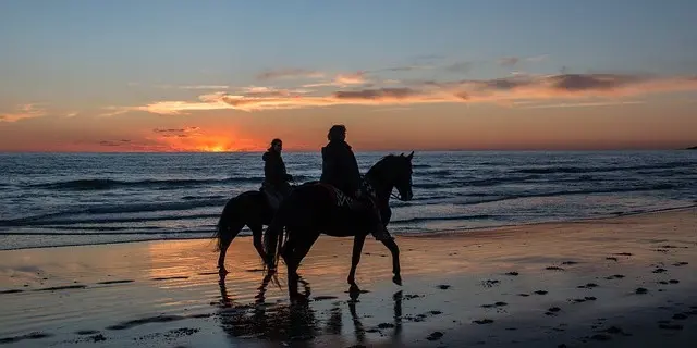 HORSEBACK RIDING