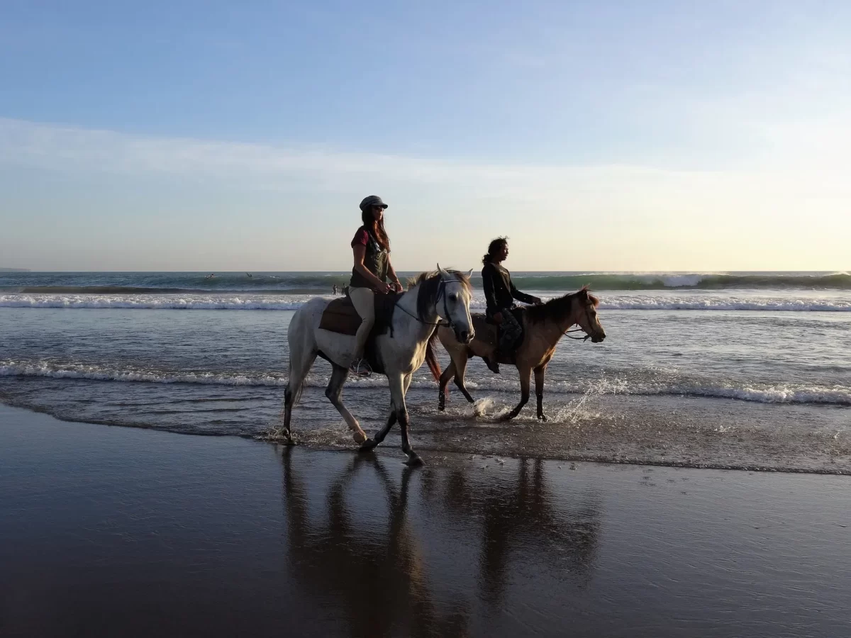 HORSEBACK RIDING