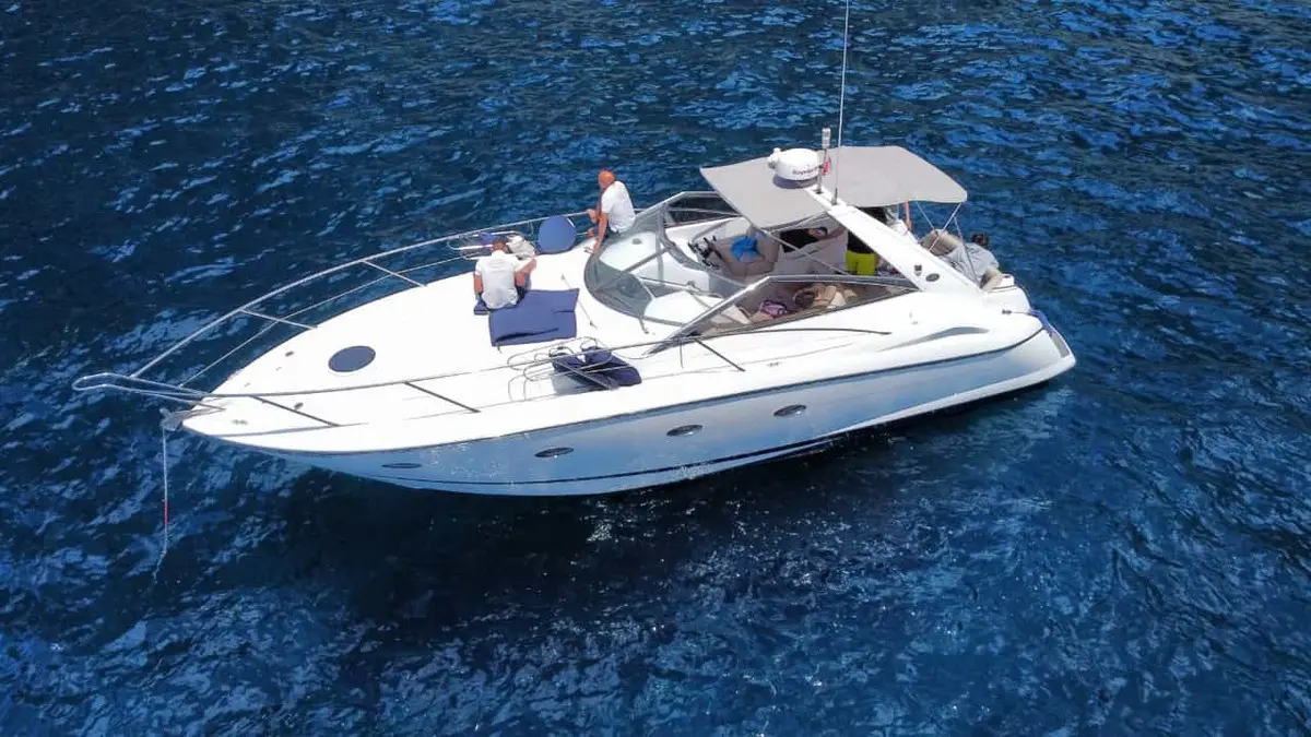 BOAT: Whales & Dolphings watching