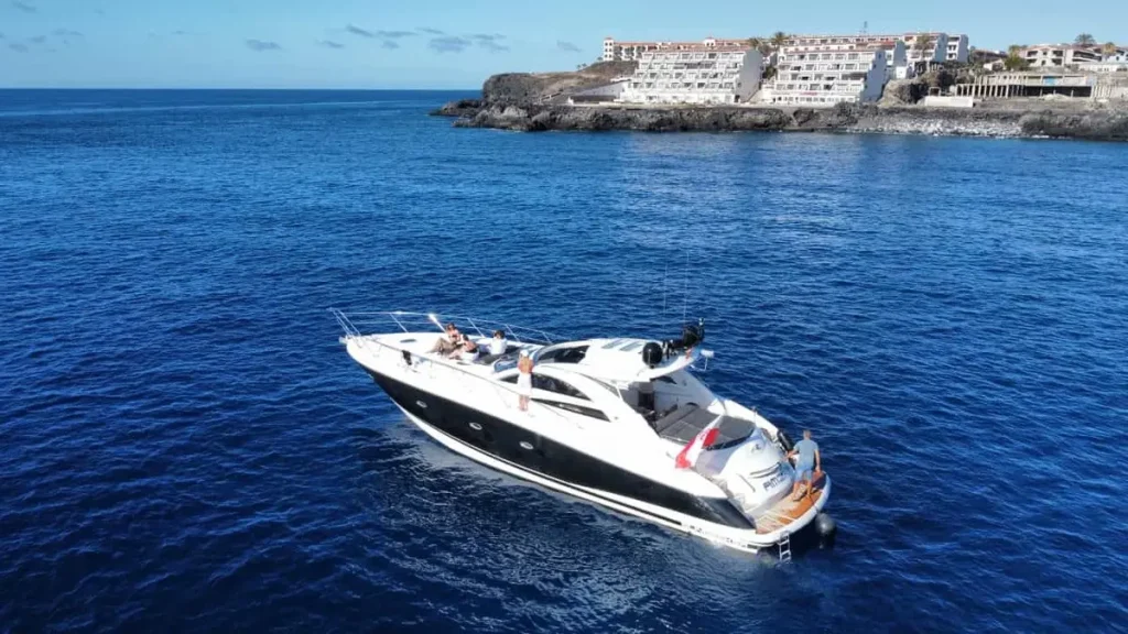 BOAT: Whales & Dolphings watching