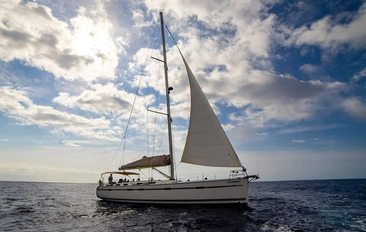 BOAT: Whales & Dolphings watching