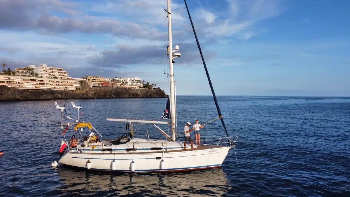 BOAT: Whales & Dolphings watching