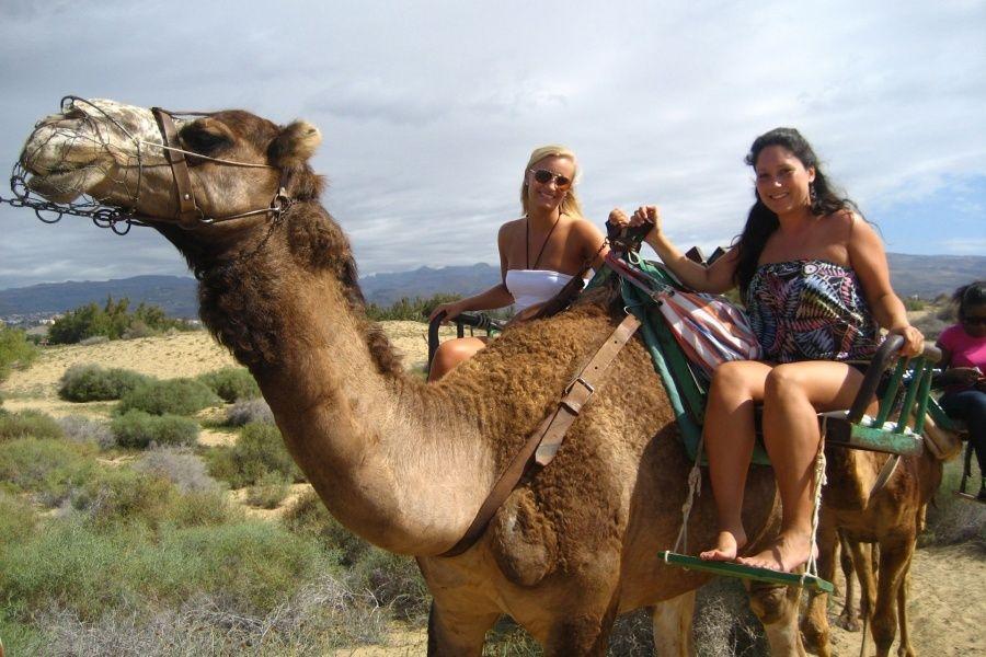 Experience a unique camel ride in Tenerife. Discover volcanic trails and breathtaking views in the island’s south.