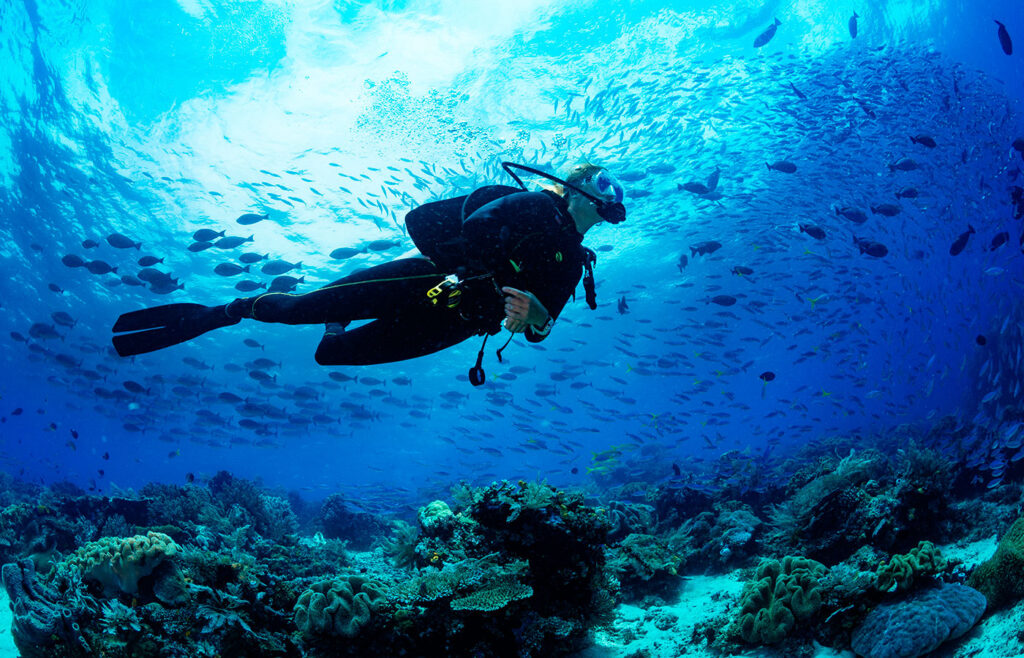 Tenerife scuba diving