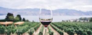 Tenerife wine tasting