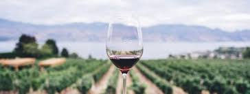 Tenerife wine tasting