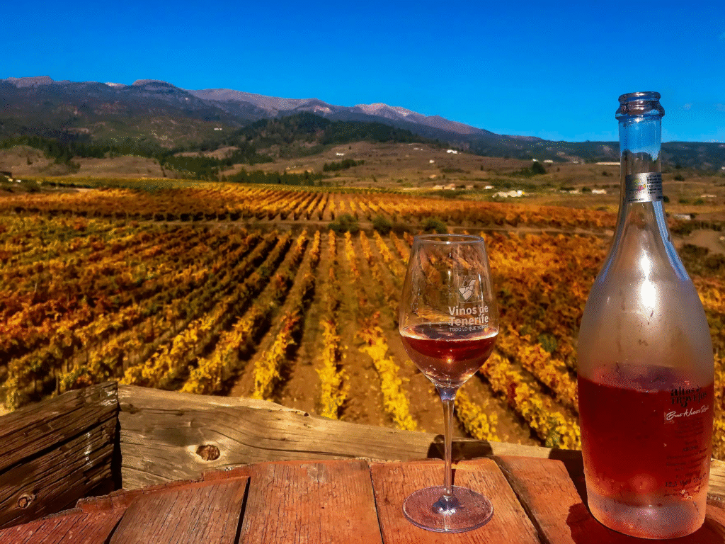 Tenerife wine tasting
