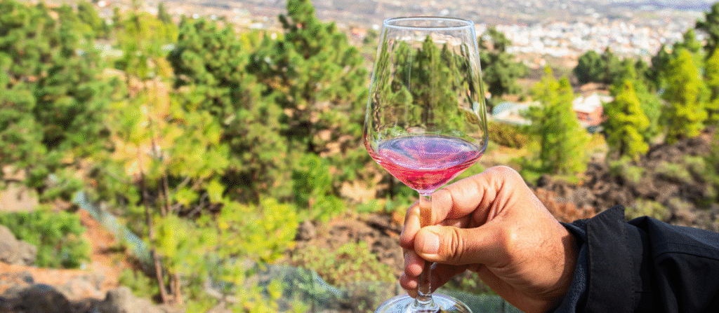 wine tours tenerife

