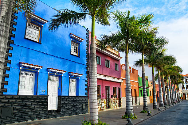 Tenerife private tours for couples, families and small groups in Tenerife. Custom routes, smart timing and local insight for calm, memorable days.