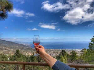 Wine tours Tenerife